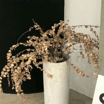 兽设比例设计入门Furry群